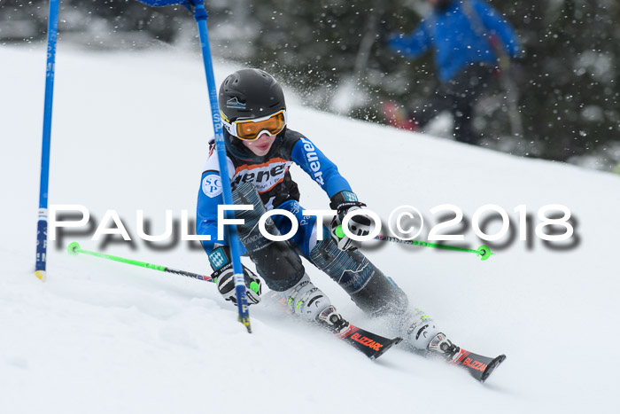 4. Ziener Cup WF, 25.02.2018