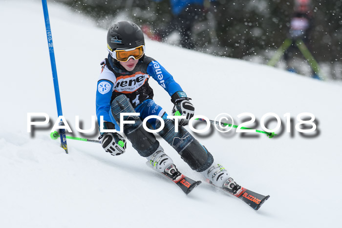 4. Ziener Cup WF, 25.02.2018