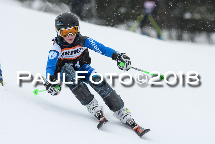 4. Ziener Cup WF, 25.02.2018