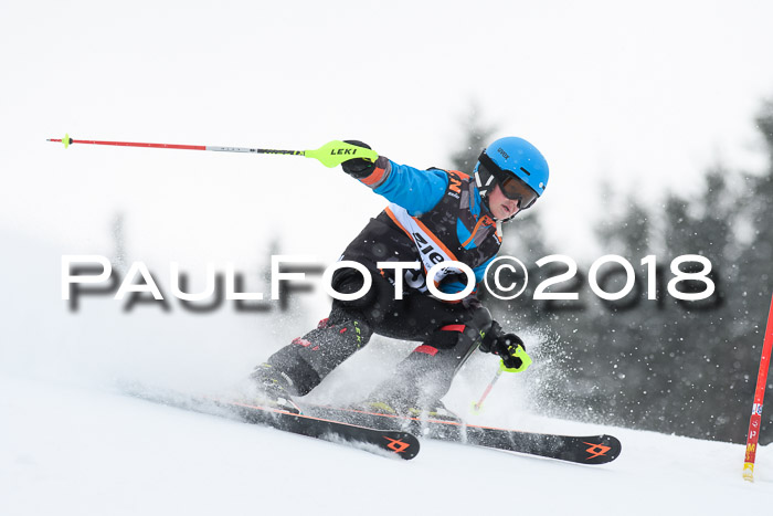 4. Ziener Cup WF, 25.02.2018