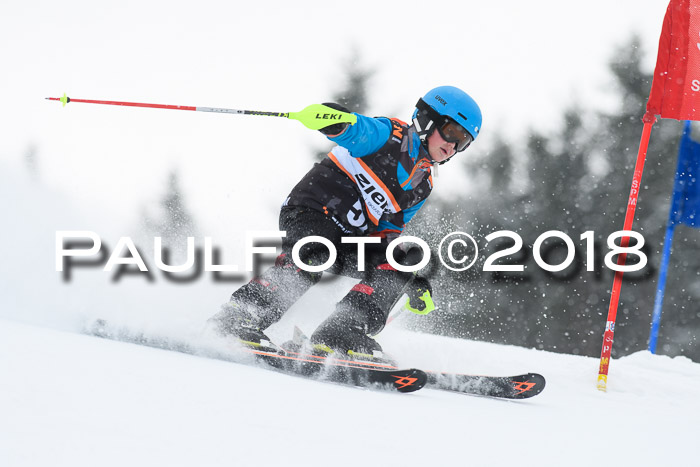 4. Ziener Cup WF, 25.02.2018