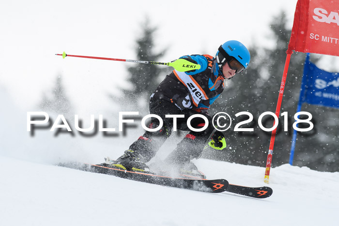4. Ziener Cup WF, 25.02.2018