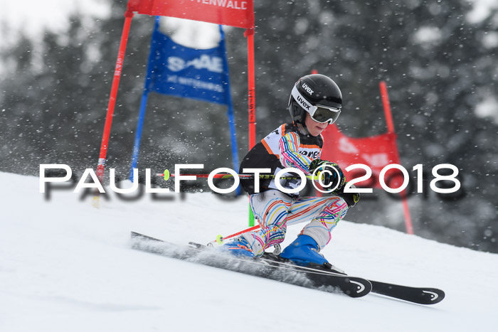 4. Ziener Cup WF, 25.02.2018
