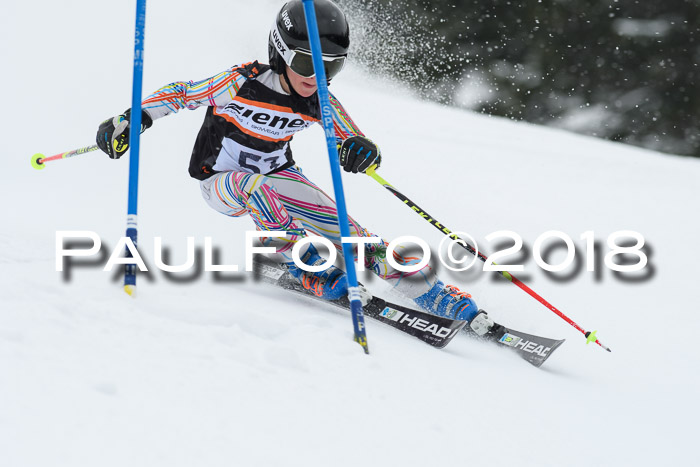 4. Ziener Cup WF, 25.02.2018