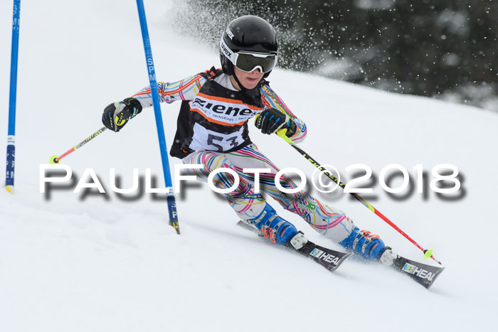 4. Ziener Cup WF, 25.02.2018