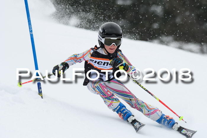 4. Ziener Cup WF, 25.02.2018