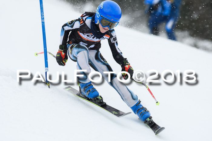 4. Ziener Cup WF, 25.02.2018