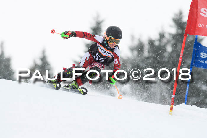 4. Ziener Cup WF, 25.02.2018