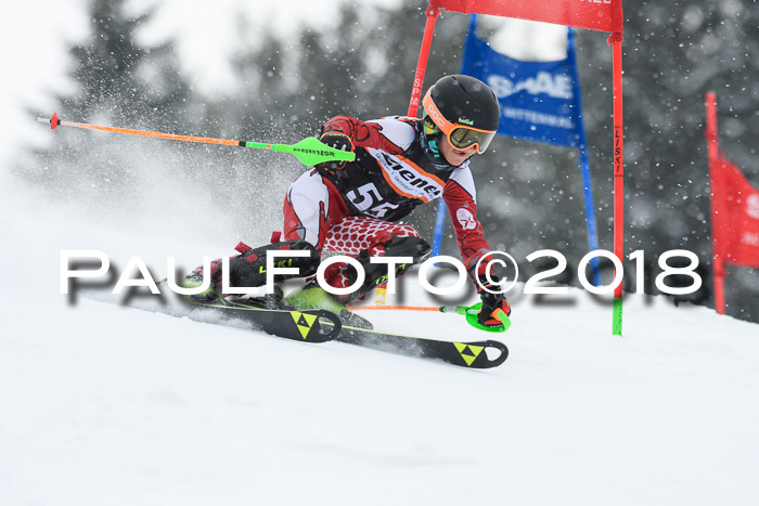 4. Ziener Cup WF, 25.02.2018