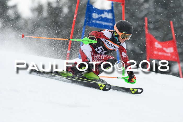 4. Ziener Cup WF, 25.02.2018