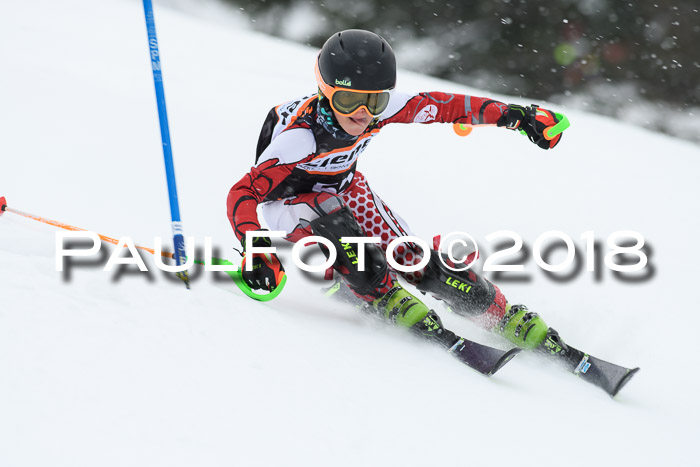 4. Ziener Cup WF, 25.02.2018