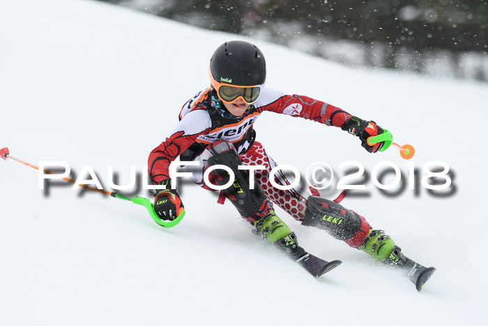 4. Ziener Cup WF, 25.02.2018
