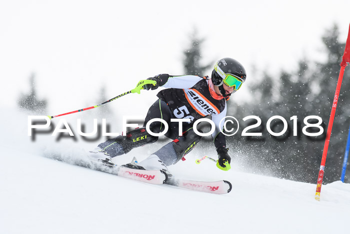 4. Ziener Cup WF, 25.02.2018