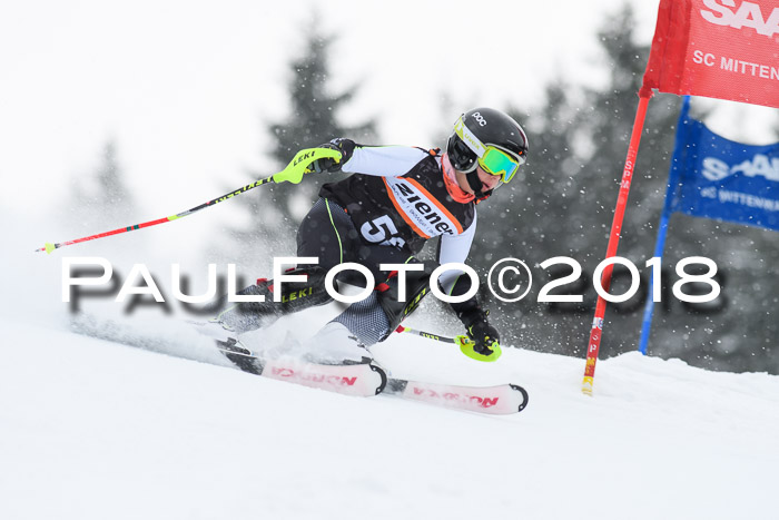 4. Ziener Cup WF, 25.02.2018