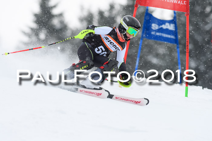 4. Ziener Cup WF, 25.02.2018