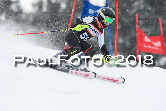 4. Ziener Cup WF, 25.02.2018