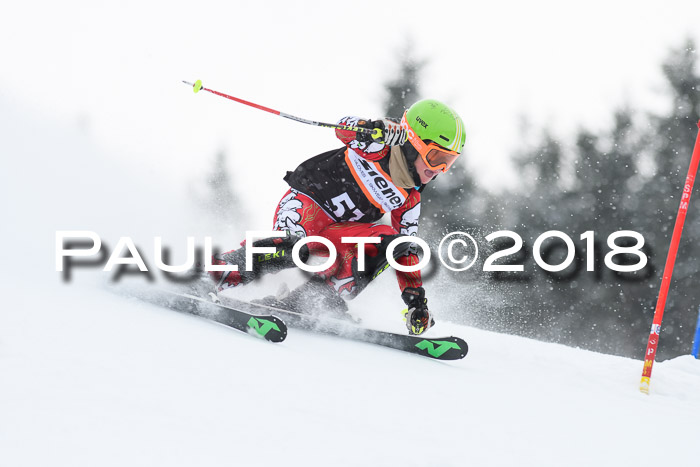 4. Ziener Cup WF, 25.02.2018