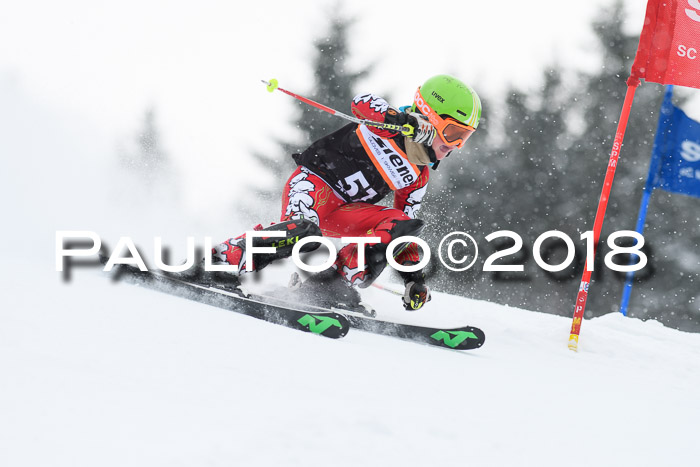 4. Ziener Cup WF, 25.02.2018