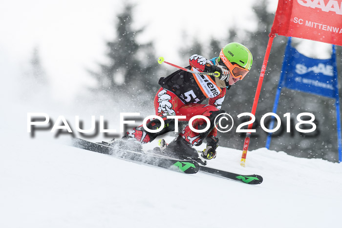 4. Ziener Cup WF, 25.02.2018