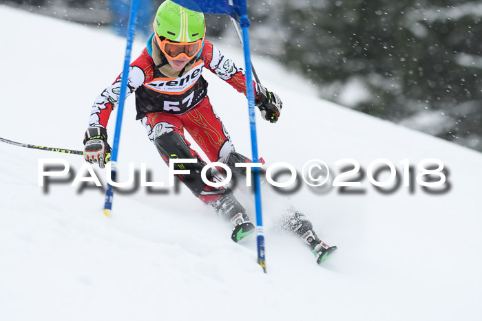 4. Ziener Cup WF, 25.02.2018