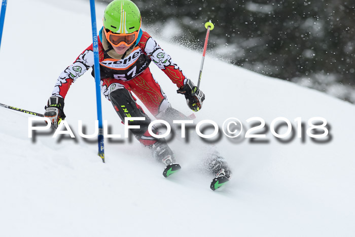 4. Ziener Cup WF, 25.02.2018