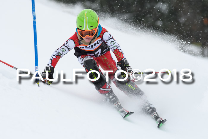4. Ziener Cup WF, 25.02.2018