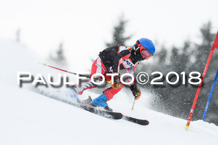 4. Ziener Cup WF, 25.02.2018