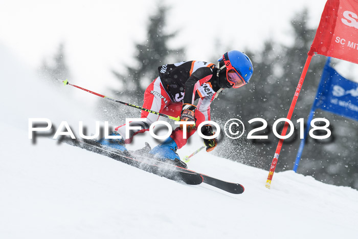 4. Ziener Cup WF, 25.02.2018