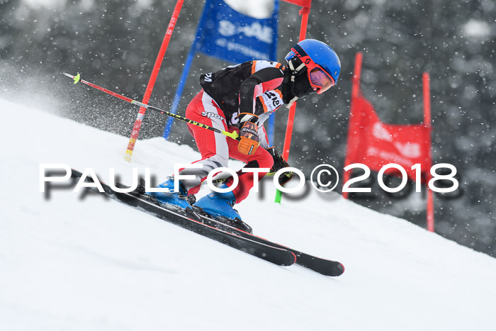 4. Ziener Cup WF, 25.02.2018