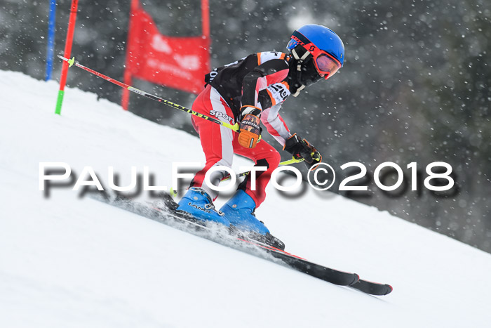 4. Ziener Cup WF, 25.02.2018