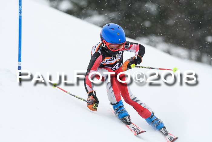 4. Ziener Cup WF, 25.02.2018