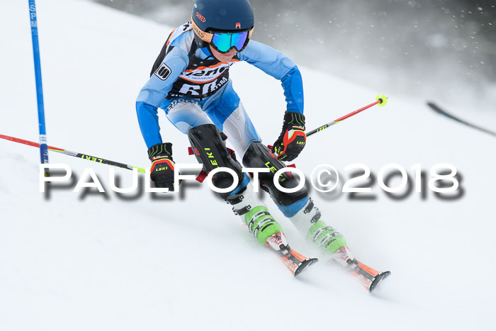 4. Ziener Cup WF, 25.02.2018