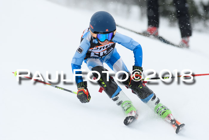 4. Ziener Cup WF, 25.02.2018