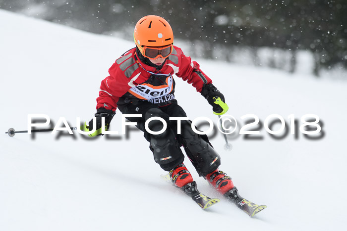 4. Ziener Cup WF, 25.02.2018