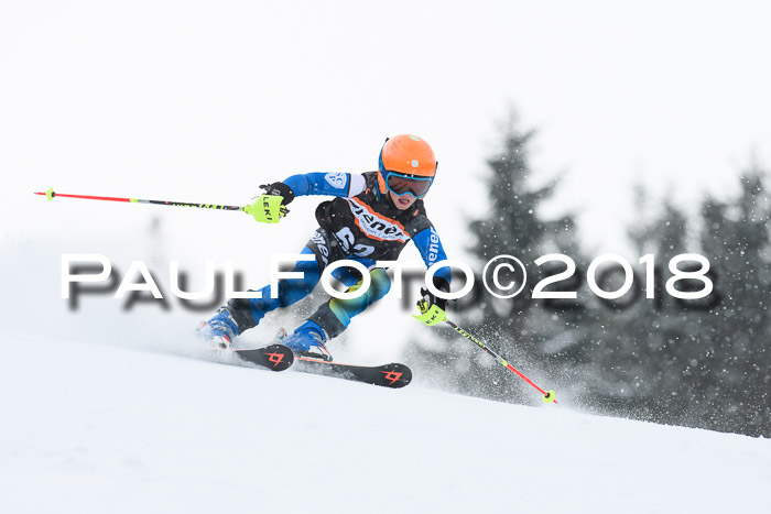 4. Ziener Cup WF, 25.02.2018