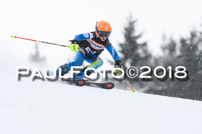 4. Ziener Cup WF, 25.02.2018