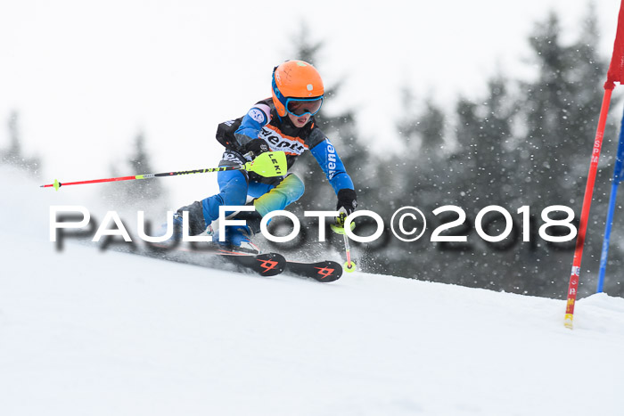 4. Ziener Cup WF, 25.02.2018