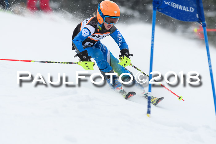 4. Ziener Cup WF, 25.02.2018