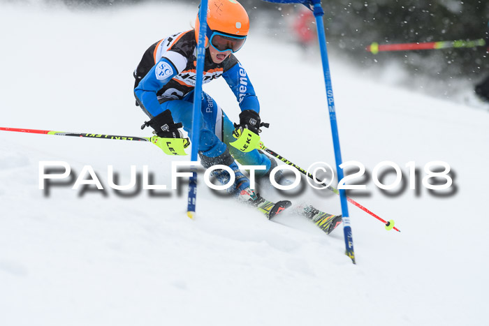 4. Ziener Cup WF, 25.02.2018