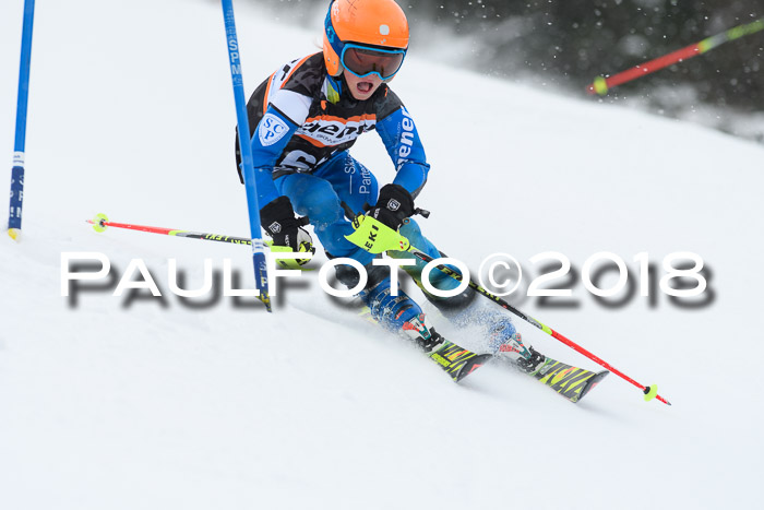 4. Ziener Cup WF, 25.02.2018