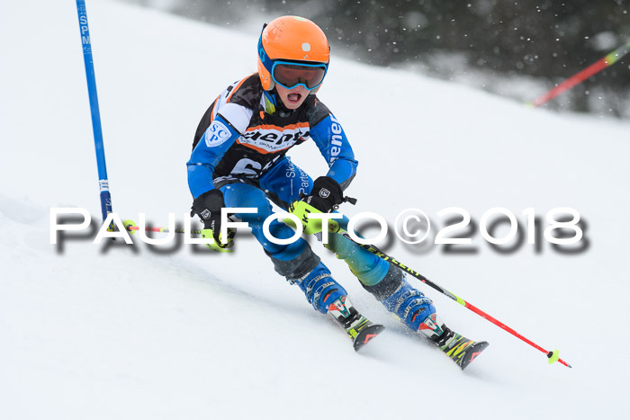 4. Ziener Cup WF, 25.02.2018