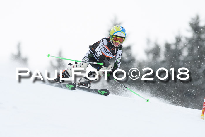 4. Ziener Cup WF, 25.02.2018