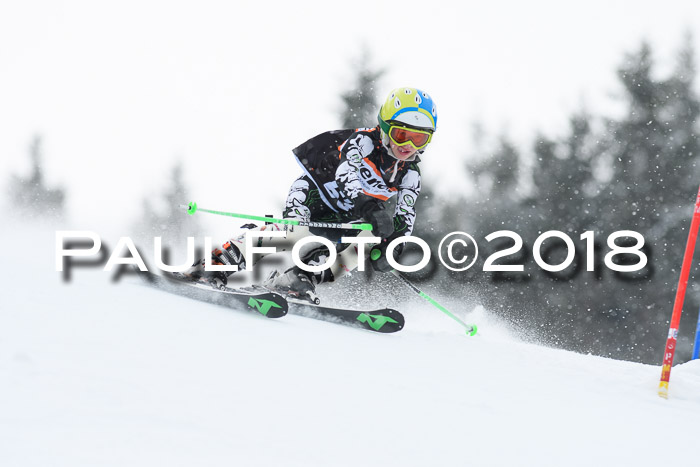 4. Ziener Cup WF, 25.02.2018