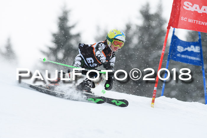 4. Ziener Cup WF, 25.02.2018