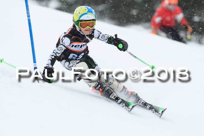 4. Ziener Cup WF, 25.02.2018