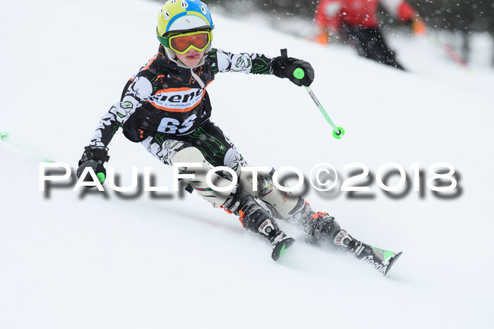 4. Ziener Cup WF, 25.02.2018