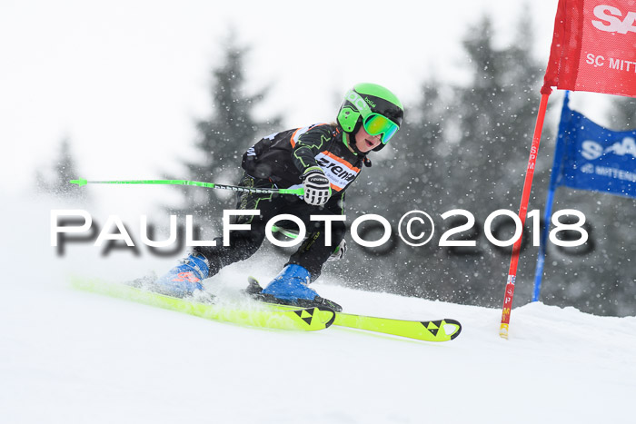 4. Ziener Cup WF, 25.02.2018