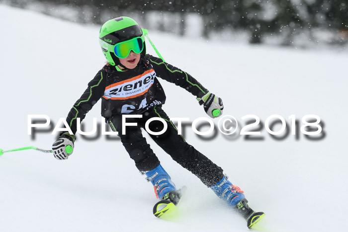 4. Ziener Cup WF, 25.02.2018