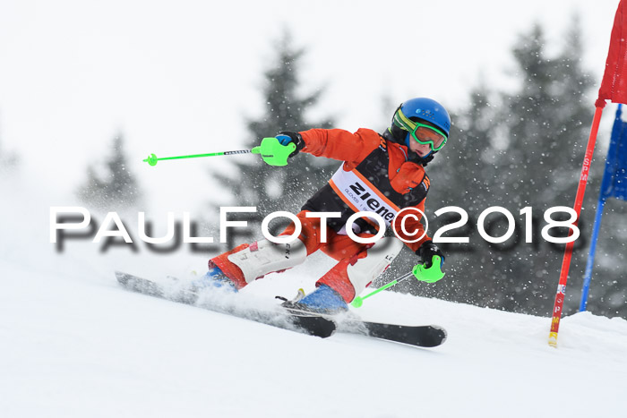 4. Ziener Cup WF, 25.02.2018