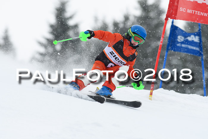 4. Ziener Cup WF, 25.02.2018